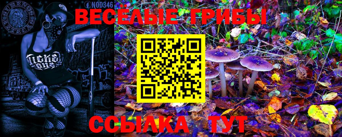 Галлюциногенные грибы MAGIC MUSHROOMS  Вход с VPN  Обь 